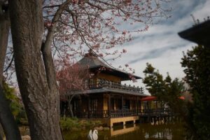 navigating culture shock abroad